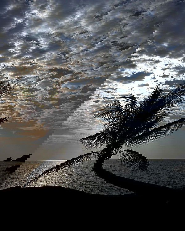 kkulakovaa image ~ Altpins