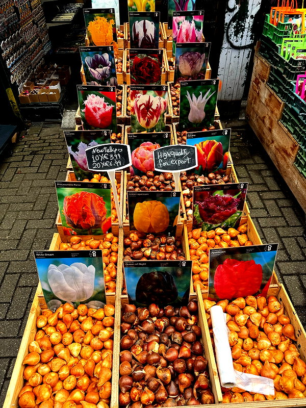 pokrov90 instagram image archive image