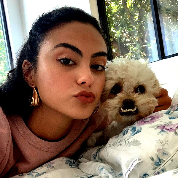 camimendes instagram image archive image