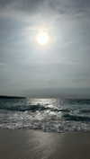 daisy_r_19 Altpins Profile Picture