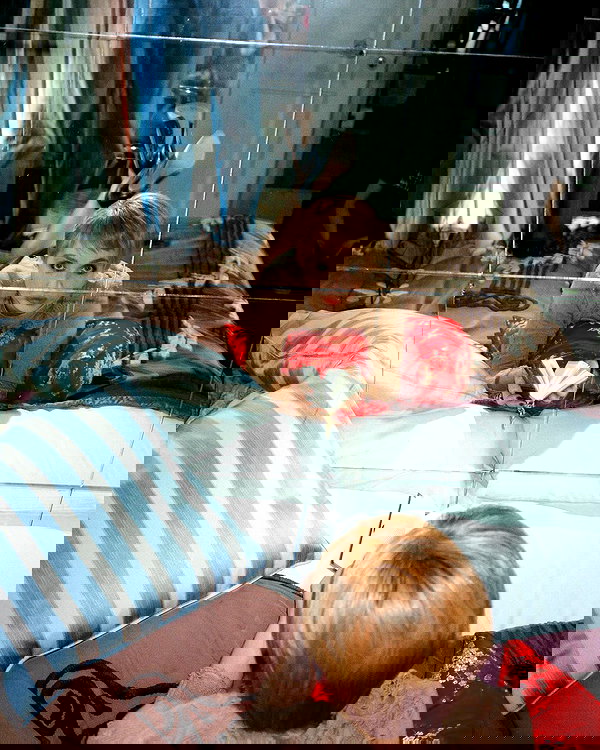 sabrinacarpenter sabrinacarpenter archive image