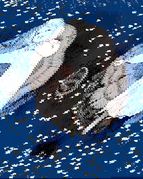 missnyxdawn missnyxdawn archive image