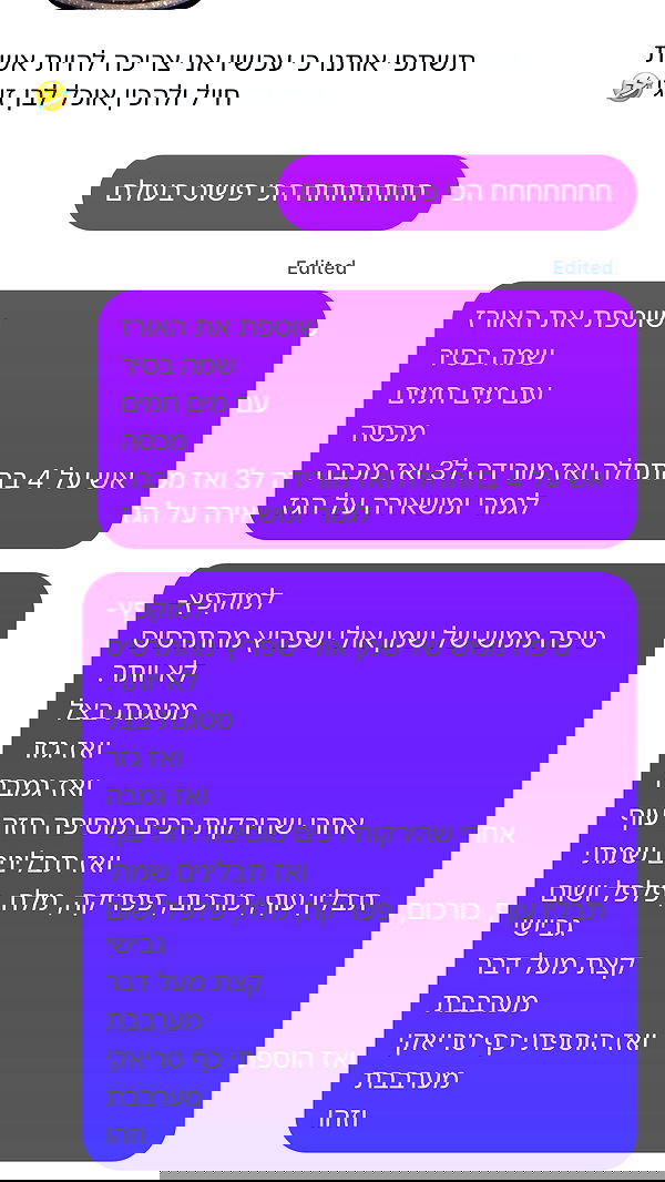 noammalka___ noammalka___ archive image