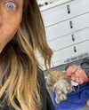 jenniferaniston Altpins Profile Picture