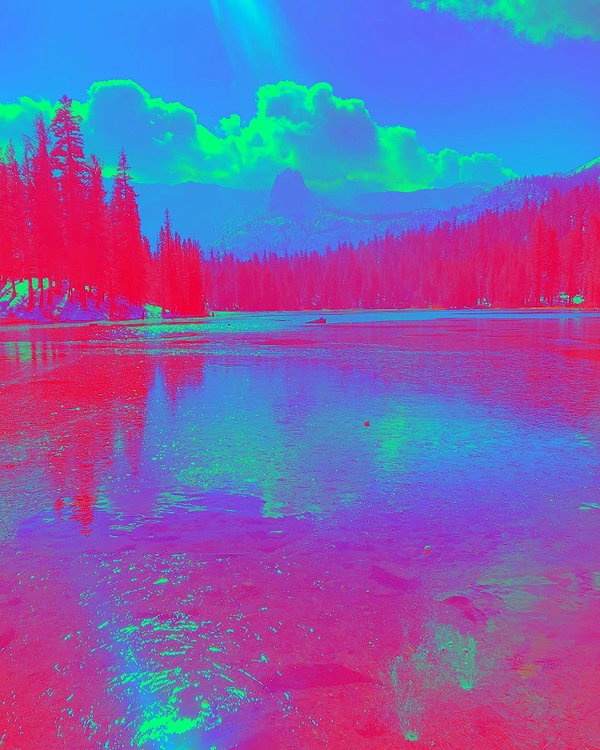 haileylayfield instagram image archive image