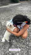 vanessa.rhd Altpins Profile Picture