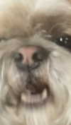 violetpau_ Altpins Profile Picture