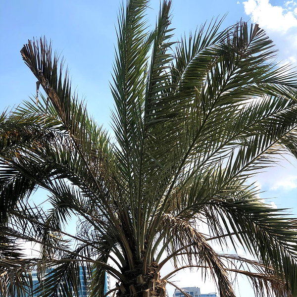 veroni22ka instagram image archive image