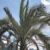veroni22ka Altpins Profile Picture