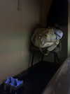 _m_a_y_c_ Altpins Profile Picture