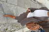emmaaurora Altpins Profile Picture