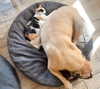 emmi.botta Altpins Profile Picture