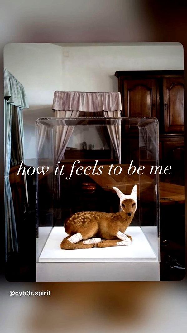 gal__wolfson instagram image archive image