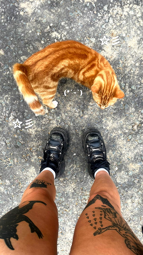 mollieruck instagram image archive image