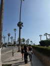 solzarubin_ Altpins Profile Picture