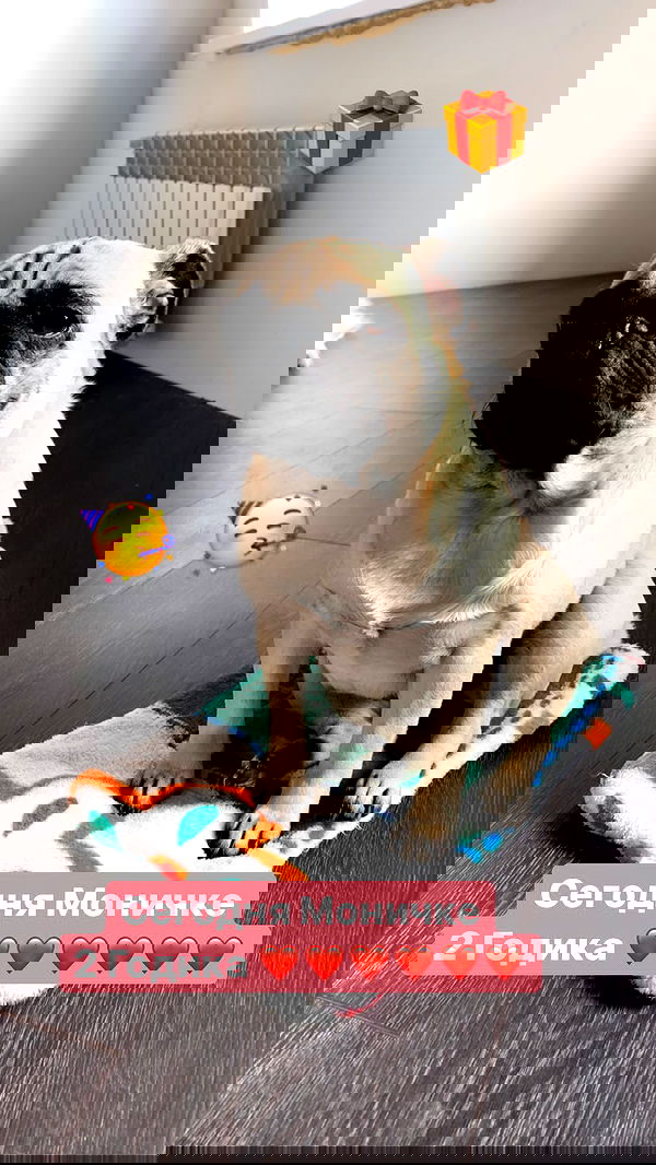 nyityam nyityam archive image