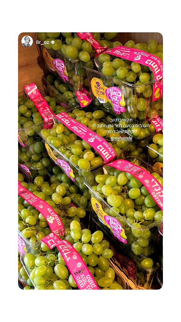 arba_onot_il instagram image archive image