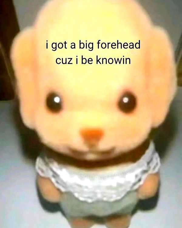 rixiadigivolved instagram image archive image