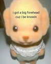 rixiadigivolved Altpins Profile Picture