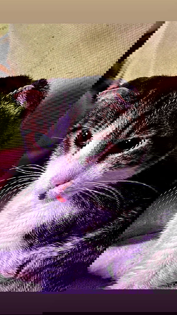 alex.banin alex.banin archive image