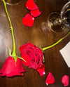 elizabethcampbelljones Altpins Profile Picture