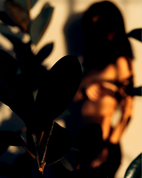 sagi.photo instagram image archive image