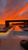 shir_revivo1 Altpins Profile Picture