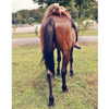 kafelnikova_a Altpins Profile Picture