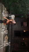 tsarbayeva Altpins Profile Picture