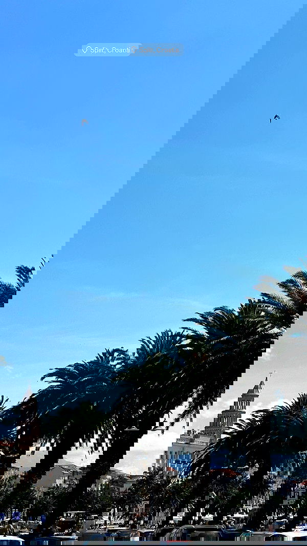 taylor.creeden taylor.creeden archive image