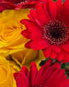 gisellelee8 Altpins Profile Picture
