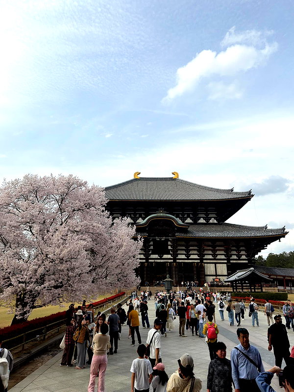 kasumi_sen instagram image archive image