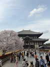 kasumi_sen Altpins Profile Picture