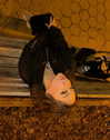 vslunz Altpins Profile Picture