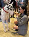 demimoore Altpins Profile Picture