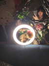 imprettydeadgirl Altpins Profile Picture