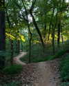 rouxroux.tv Altpins Profile Picture