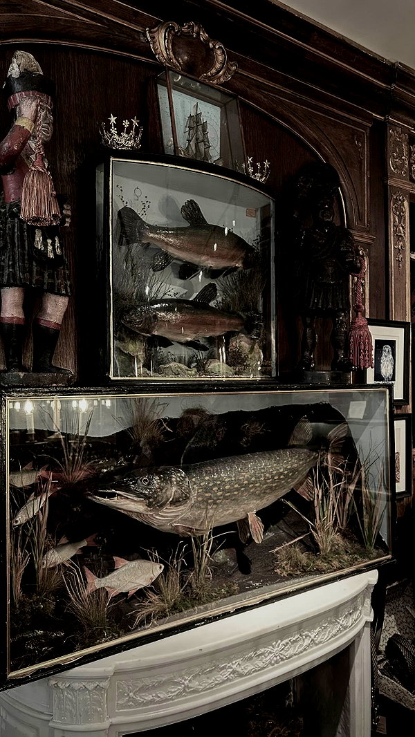 bat.wiings instagram image archive image