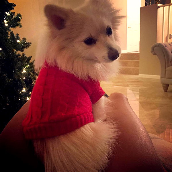 sssniperwolf instagram image archive image