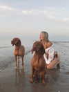 surfsterre Altpins Profile Picture