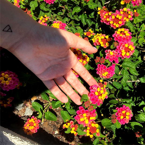 haileylayfield instagram image archive image
