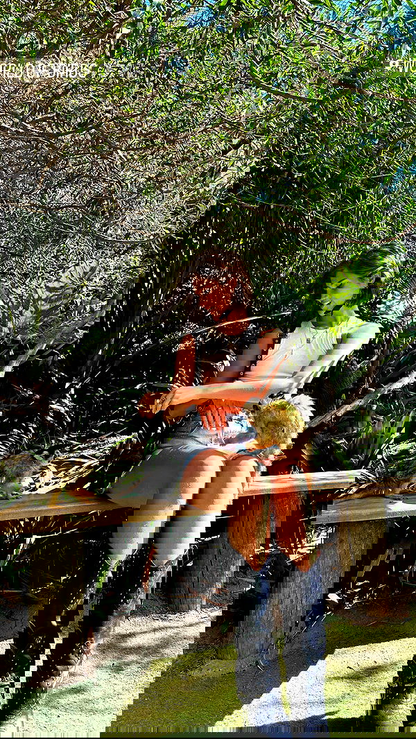 taylor.creeden taylor.creeden archive image