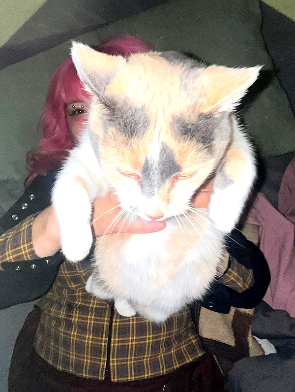 camila_kal instagram image archive image