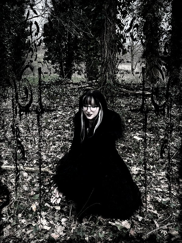 bat.wiings instagram image archive image
