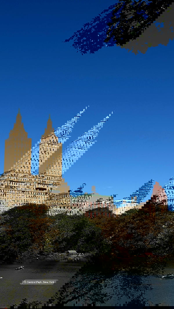 payton.r payton.r archive image