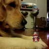 muze Altpins Profile Picture