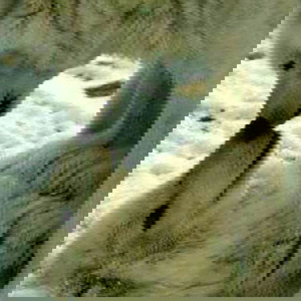 missnyxdawn missnyxdawn archive image