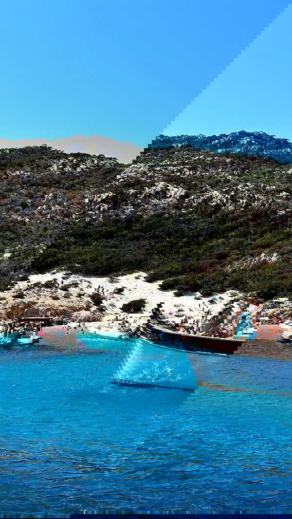 taylor.creeden taylor.creeden archive image