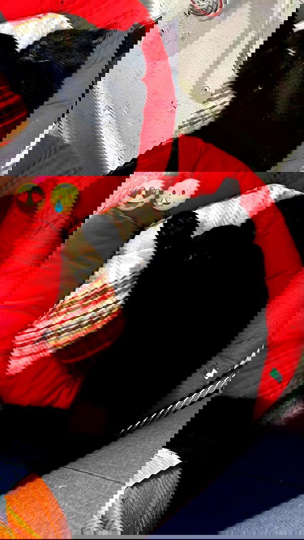 mishel116 mishel116 archive image