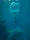 cyber.st4rz Altpins Profile Picture